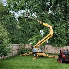 Best Tree Disease Treatment  in Medina, TN