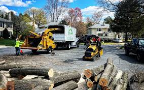 Medina, TN Tree Removal Company