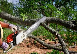 Best Lawn Watering Services  in Medina, TN