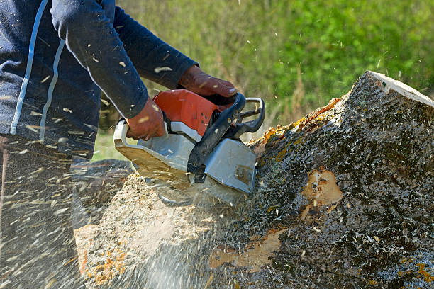 Mulching Services in Medina, TN